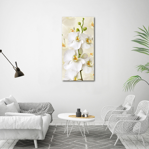 Verticale canvasfoto Witte orchidee