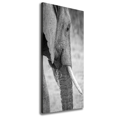 Verticale canvasfoto Olifant