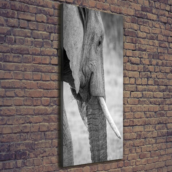 Verticale canvasfoto Olifant