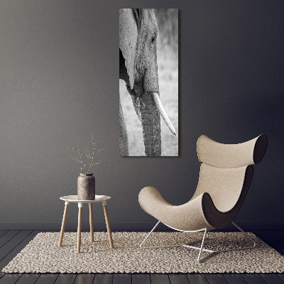 Verticale canvasfoto Olifant