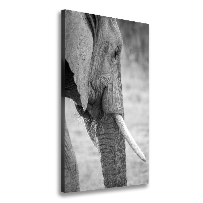 Verticale canvasfoto Olifant