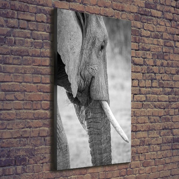 Verticale canvasfoto Olifant