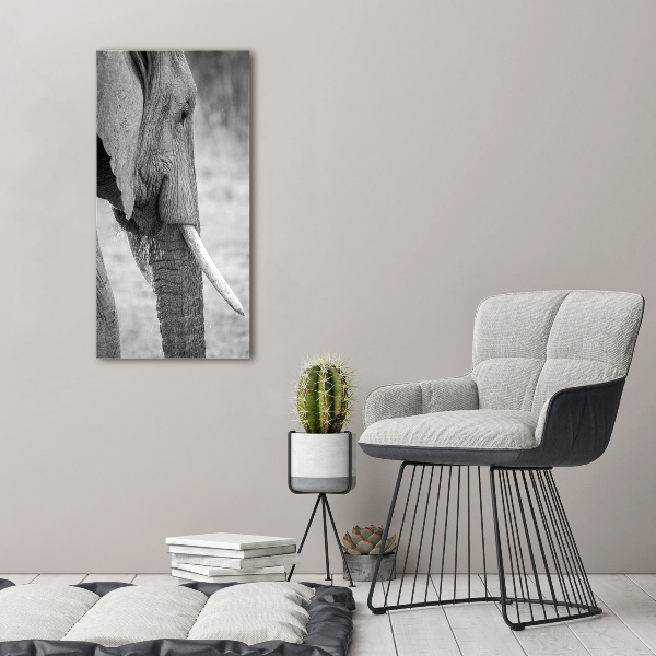 Verticale canvasfoto Olifant