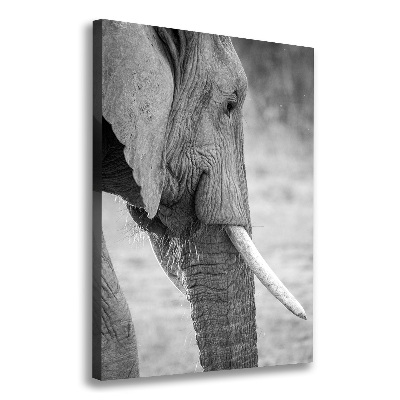 Verticale canvasfoto Olifant