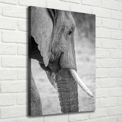 Verticale canvasfoto Olifant