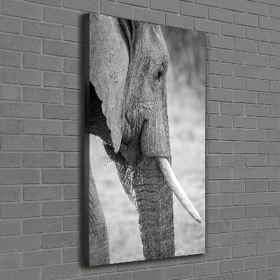 Verticale canvasfoto Olifant