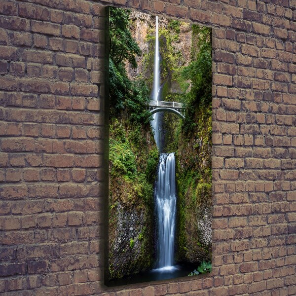 Verticale foto op canvas Waterval