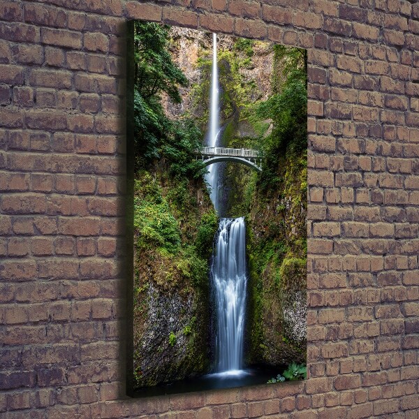 Verticale foto op canvas Waterval