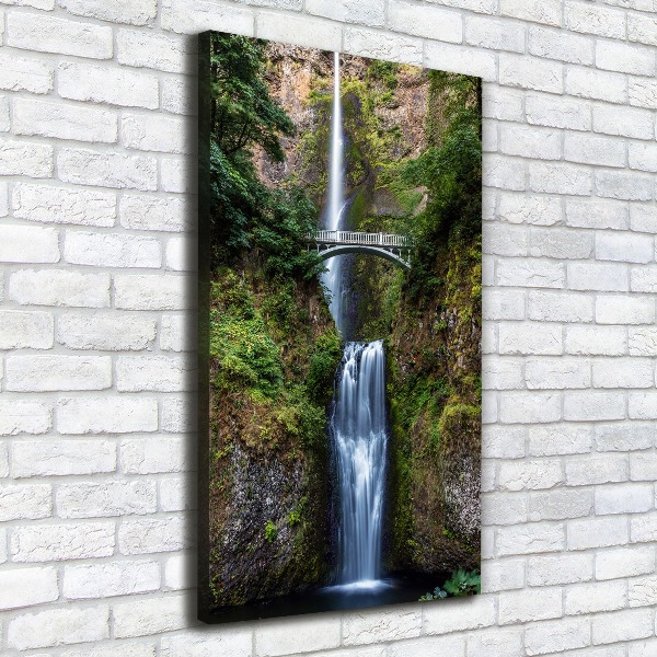 Verticale foto op canvas Waterval
