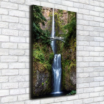 Verticale foto op canvas Waterval
