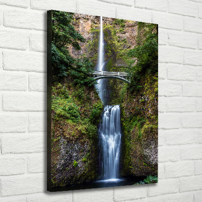 Verticale foto op canvas Waterval