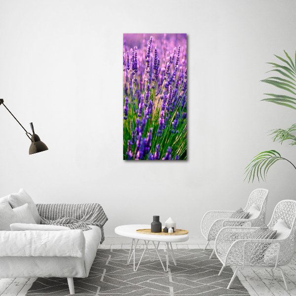 Verticaal schilderij op canvas Lavendelveld