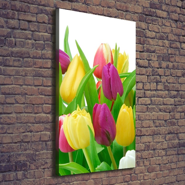 Verticale foto op canvas Kleurrijke tulpen