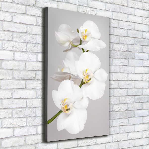 Verticaal canvasschilderij Witte orchidee