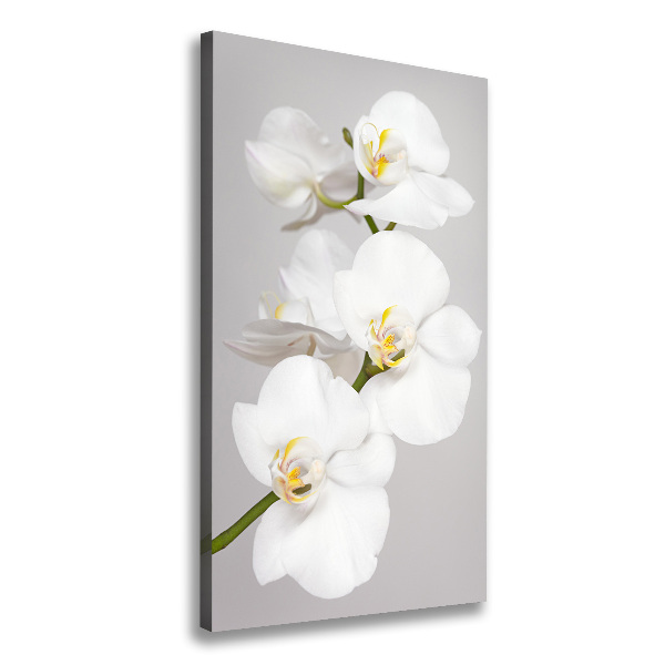 Verticaal canvasschilderij Witte orchidee