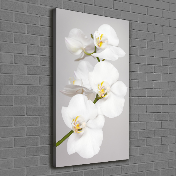 Verticaal canvasschilderij Witte orchidee