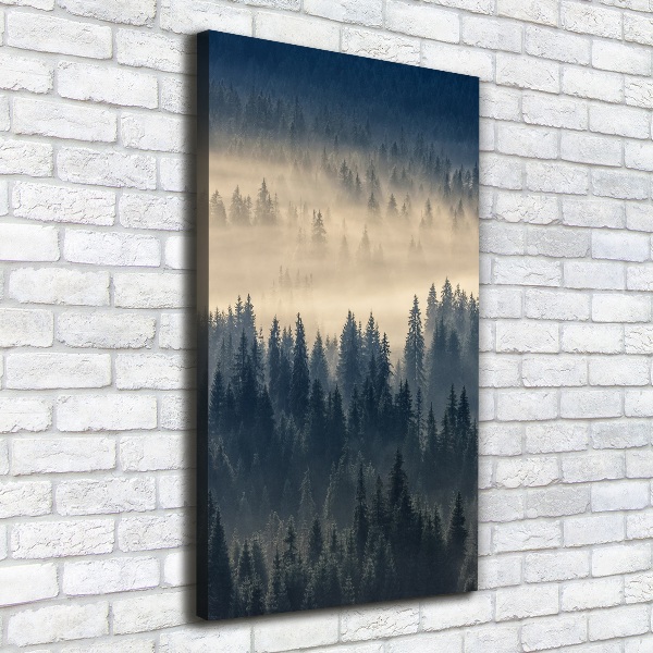 Verticaal schilderij op canvas Mist boven het bos