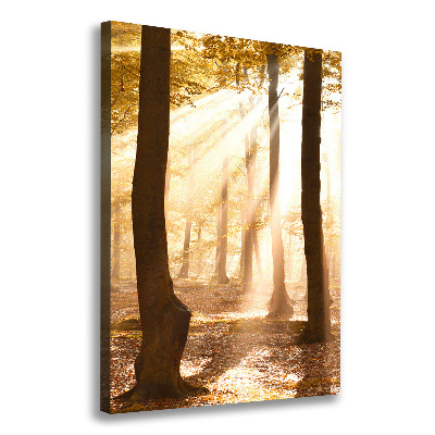 Verticale canvasfoto Bos in de herfst