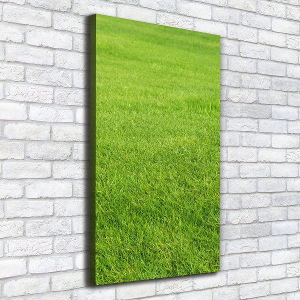 Verticaal canvasschilderij Groen gras