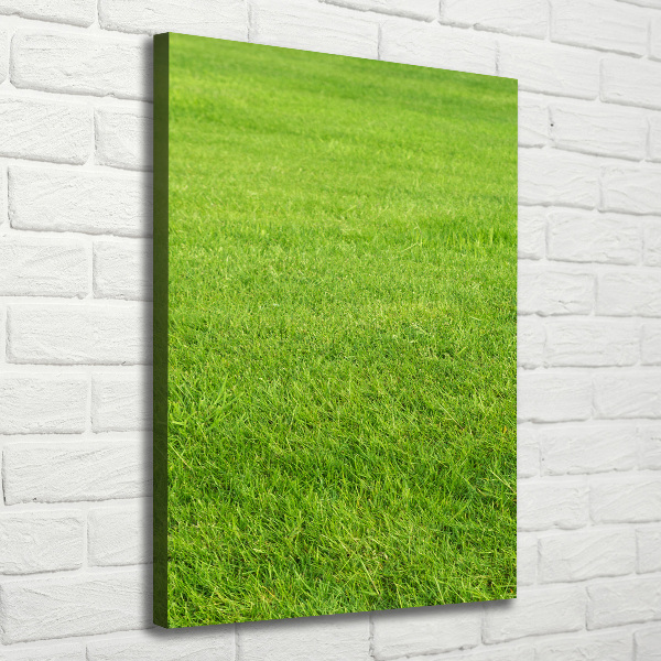 Verticaal canvasschilderij Groen gras