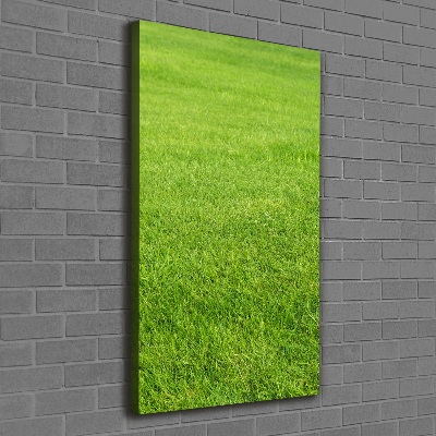 Verticaal canvasschilderij Groen gras