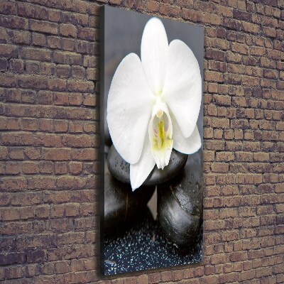 Verticaal canvasschilderij Orchidee en stenen