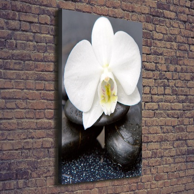 Verticaal canvasschilderij Orchidee en stenen