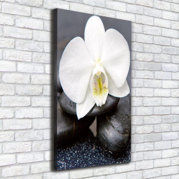 Verticaal canvasschilderij Orchidee en stenen