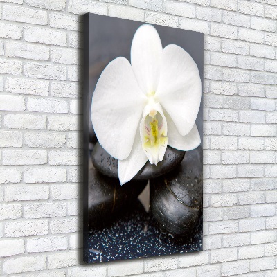 Verticaal canvasschilderij Orchidee en stenen
