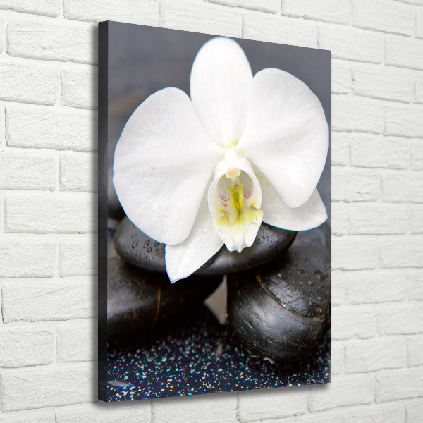 Verticaal canvasschilderij Orchidee en stenen