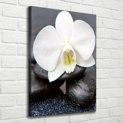Verticaal canvasschilderij Orchidee en stenen