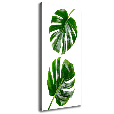 Verticale foto op canvas Monstera