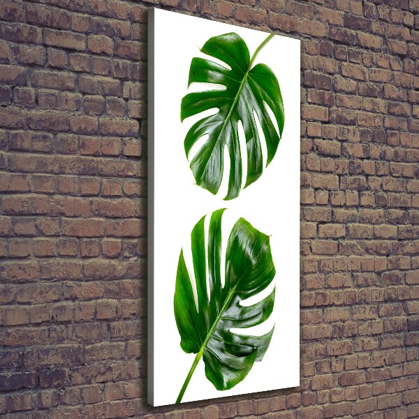 Verticale foto op canvas Monstera