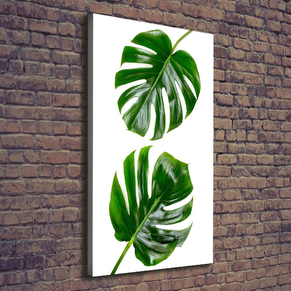 Verticale foto op canvas Monstera