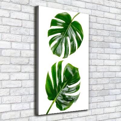 Verticale foto op canvas Monstera