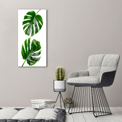 Verticale foto op canvas Monstera