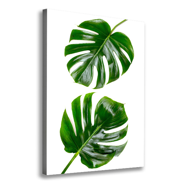 Verticale foto op canvas Monstera