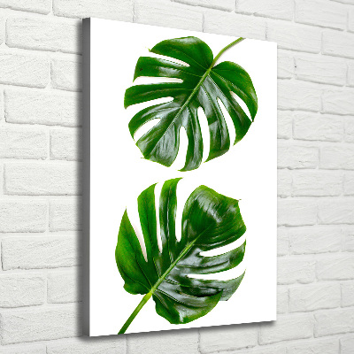 Verticale foto op canvas Monstera