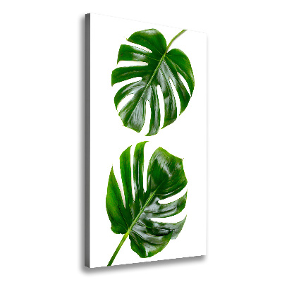 Verticale foto op canvas Monstera