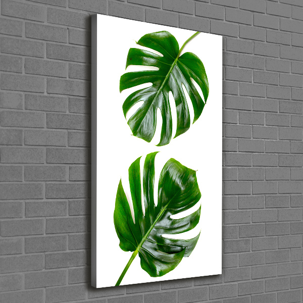 Verticale foto op canvas Monstera
