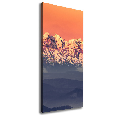 Verticaal canvasschilderij Panorama van het Tatragebergte