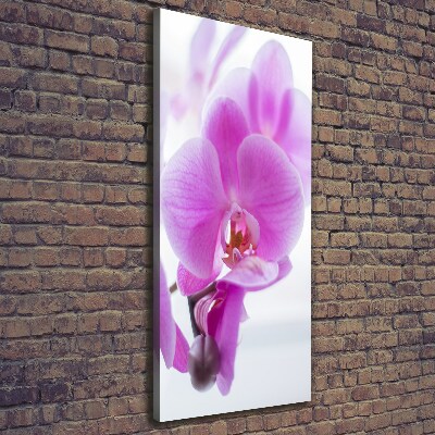 Verticaal schilderij op canvas Roze orchidee