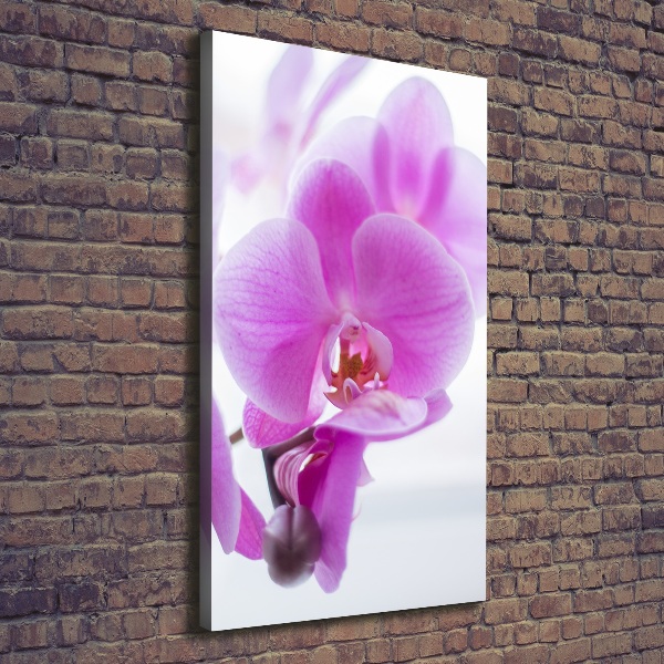 Verticaal schilderij op canvas Roze orchidee