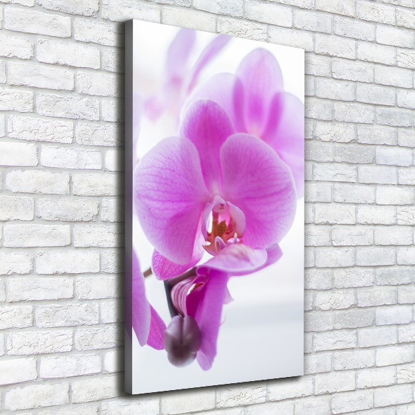 Verticaal schilderij op canvas Roze orchidee