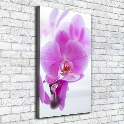 Verticaal schilderij op canvas Roze orchidee