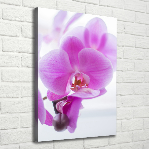 Verticaal schilderij op canvas Roze orchidee