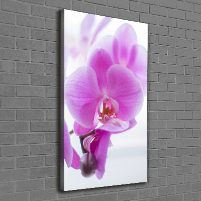 Verticaal schilderij op canvas Roze orchidee