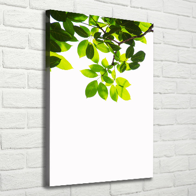 Verticale foto op canvas Groene bladeren