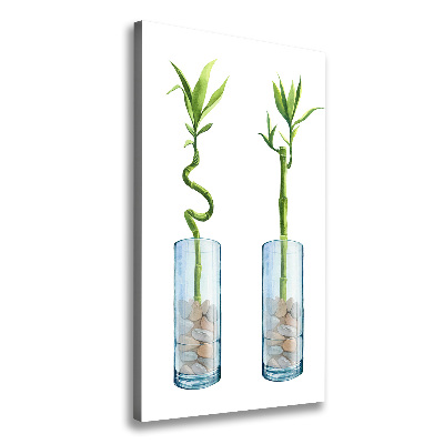 Verticale canvasfoto Bamboe in een pot
