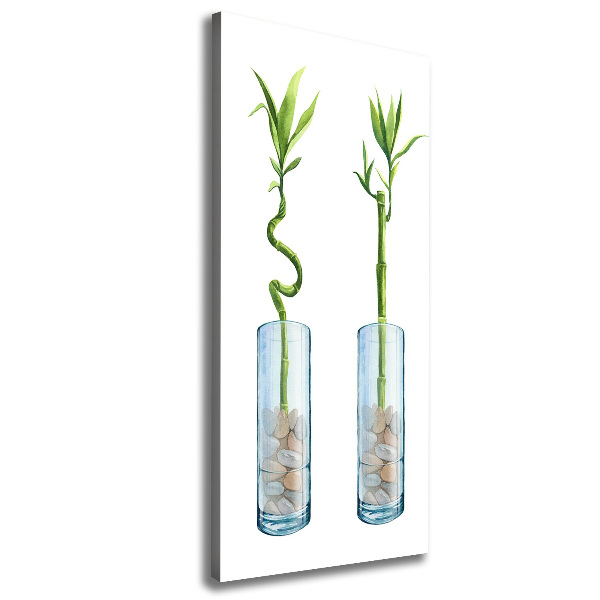 Verticale canvasfoto Bamboe in een pot